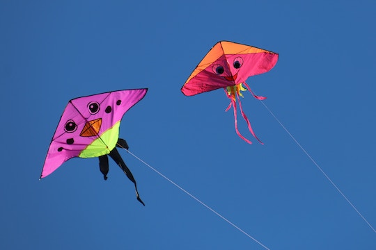 Image of two kites in the air