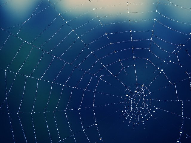 Spiderweb Image from Flickr 