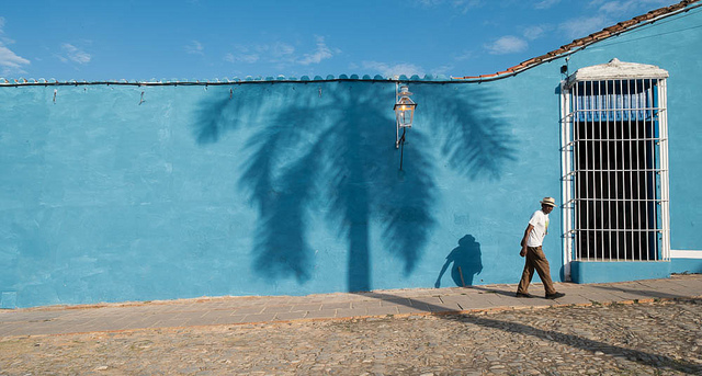 Image of a shadow of a palm tree