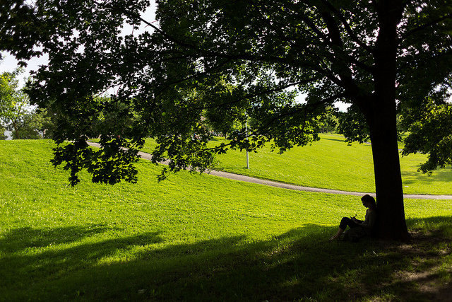 Image of a person sitting in the shade under a tree