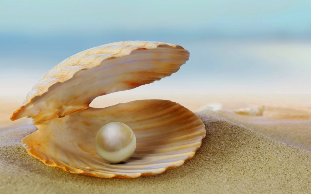 Image of a pearl in a shell