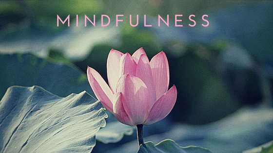 Image of a pink flower with "Mindfulness" above it