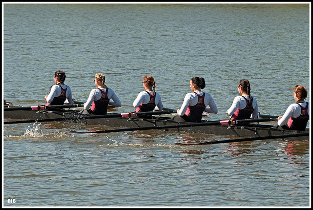 Image of a rowing team