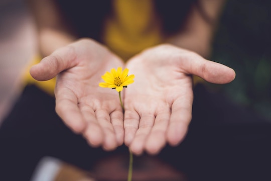 Image of a hand holding a flower