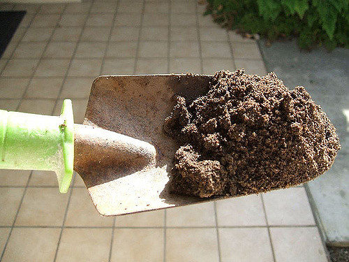 Image of a shovel full of dirt