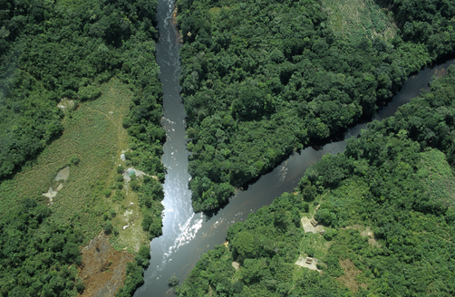 Aerial view of tropical rainforest with converging rivers, Guyana