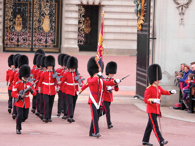 Image of Changing of the Guards at Buckingham Palace