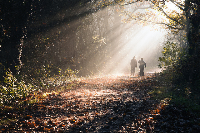 Image of two people walking in the woods