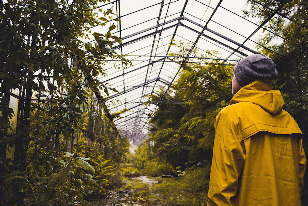 Image of a greenhouse full of weeds