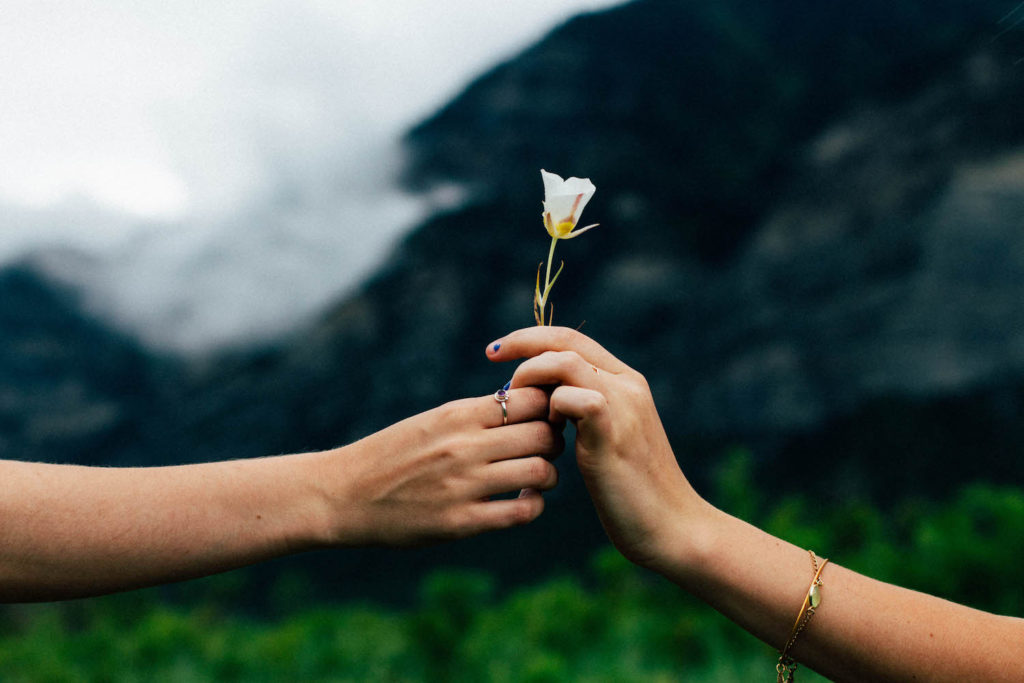 Image of hands, one giving a flower to the other