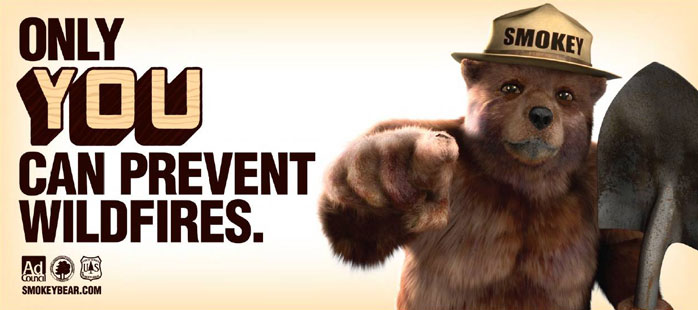 Image of Smokey the Bear