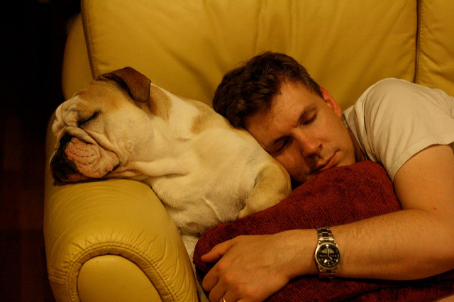 Image of a man sleeping on the sofa with his bulldog