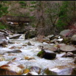 Image of a river full of rocks