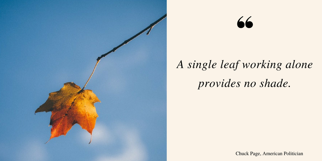 Image of a single leaf along with today's quote