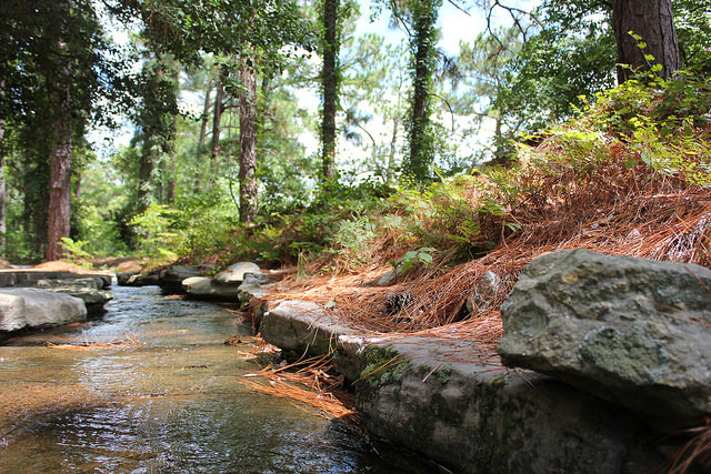 Image of a stream