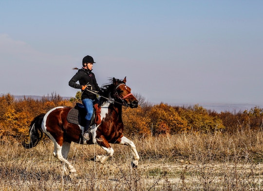 Image of a galloping horse and rider